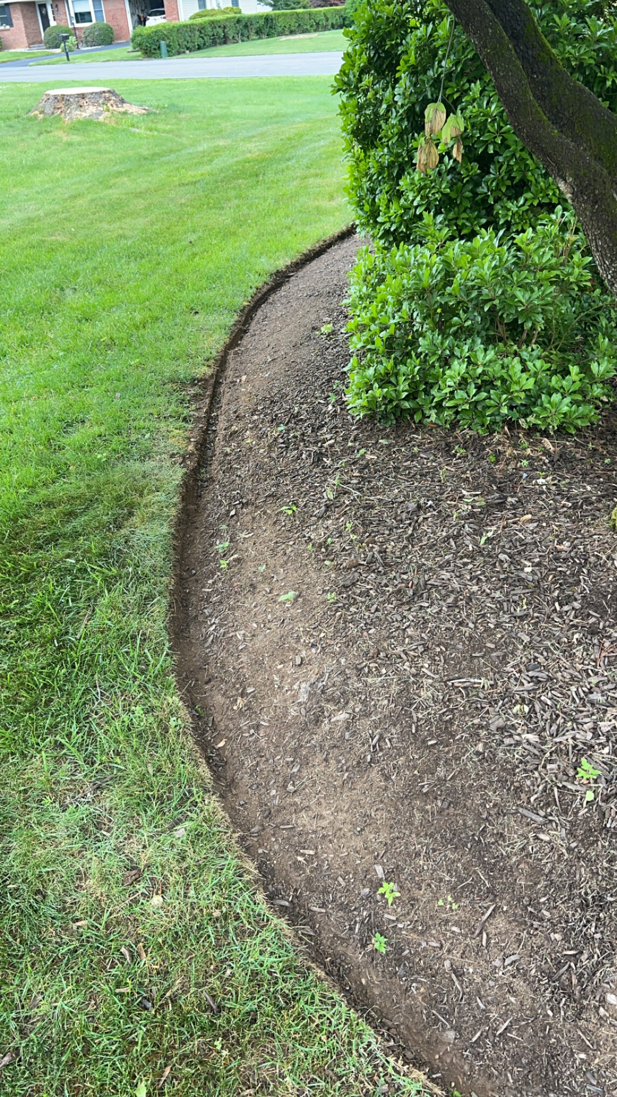 Clean bed edging along lawn and landscape beds