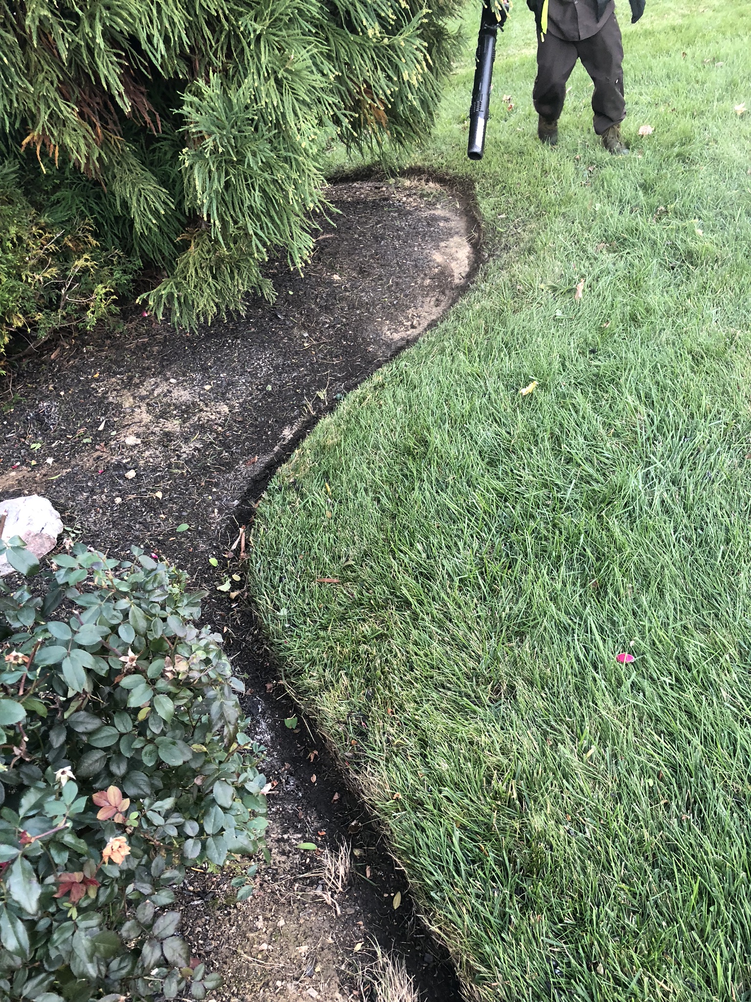 Clean edge work along beds