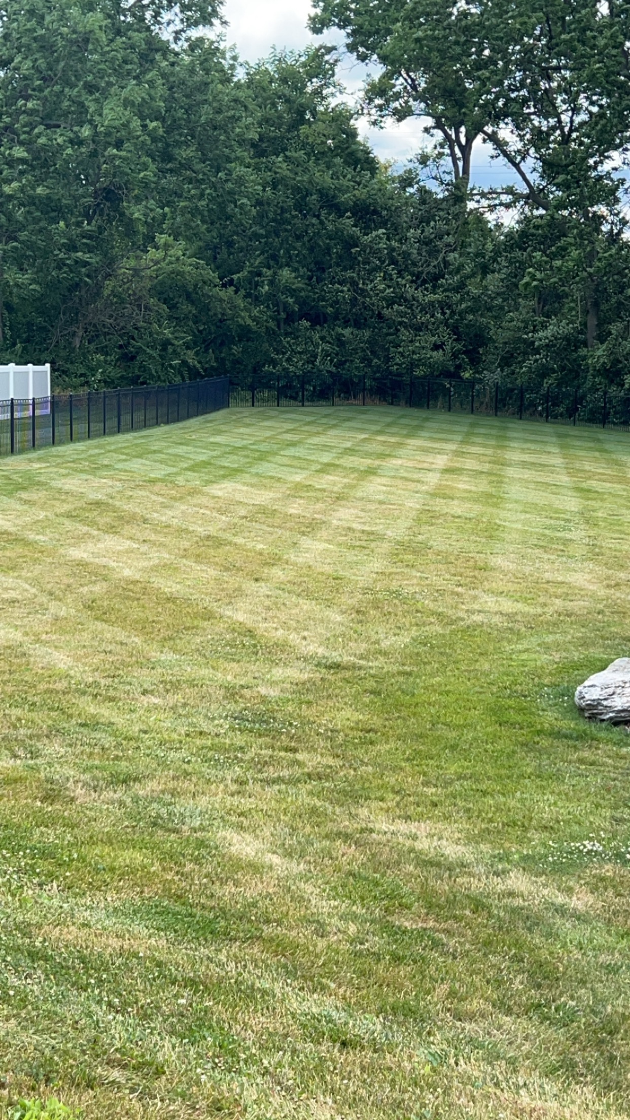 Checkered mowing pattern on backyard lawn