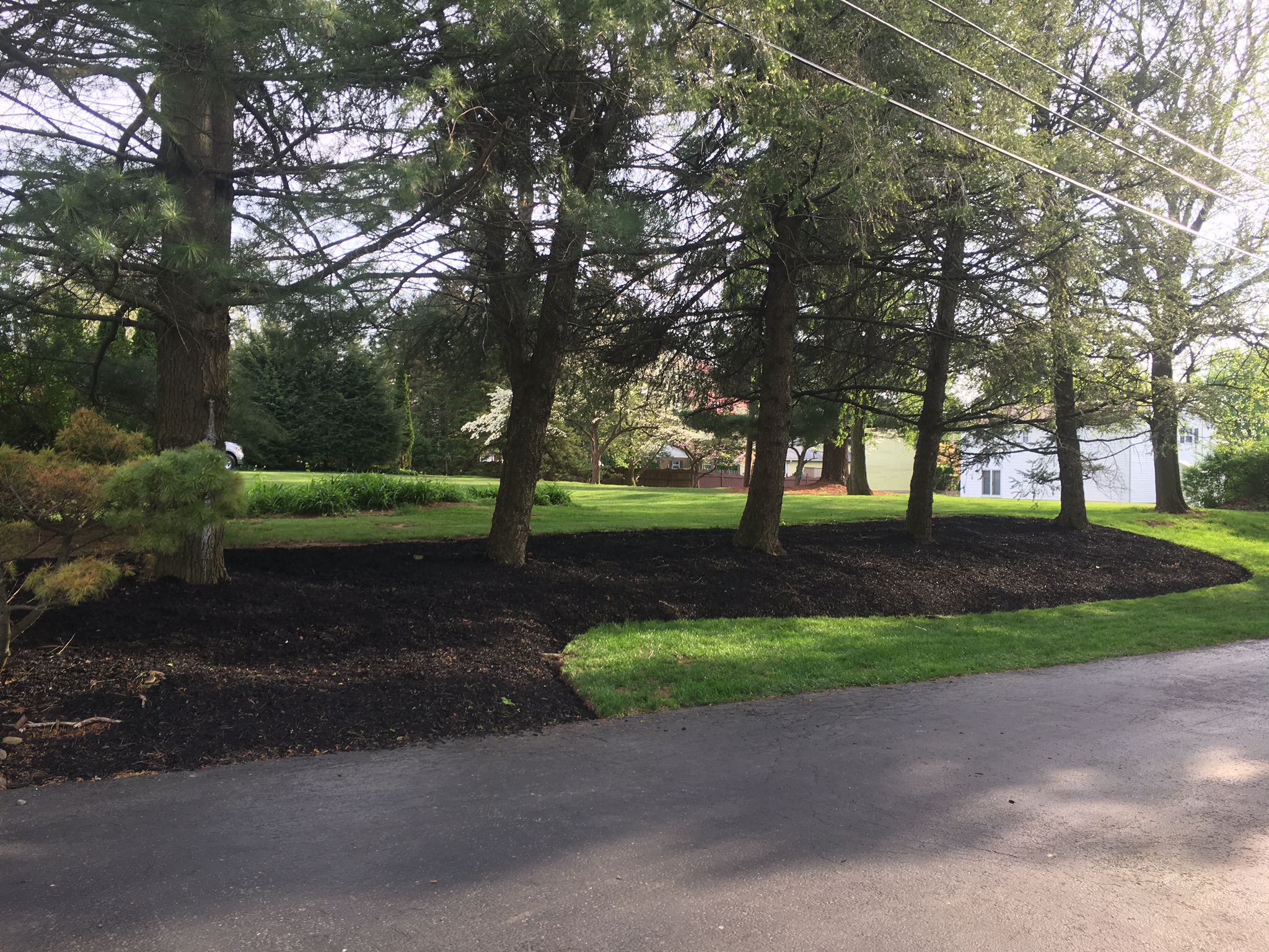 Fresh mulch installed around trees and landscape beds