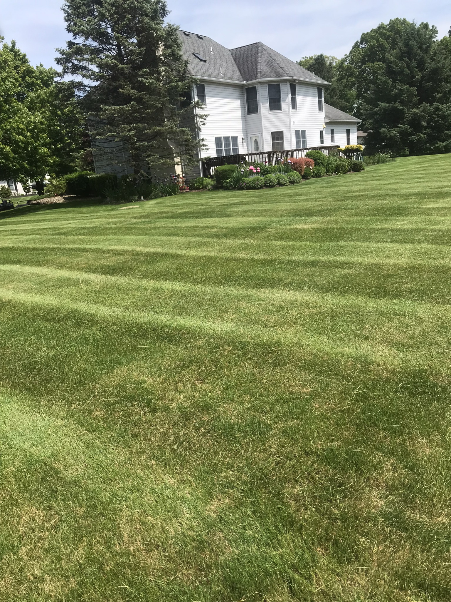 Full property lawn maintenance